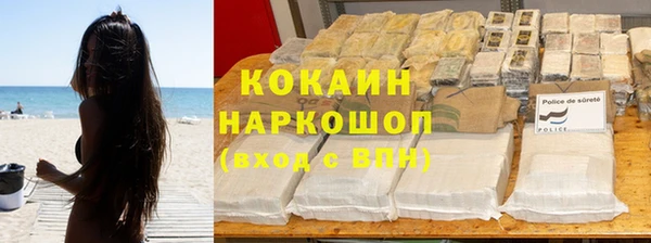 сатива Беломорск