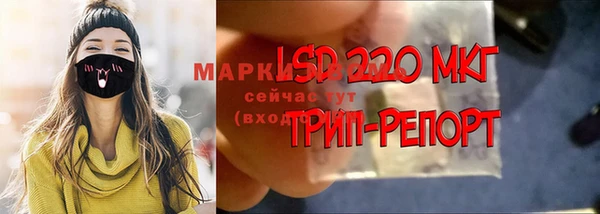 сатива Беломорск