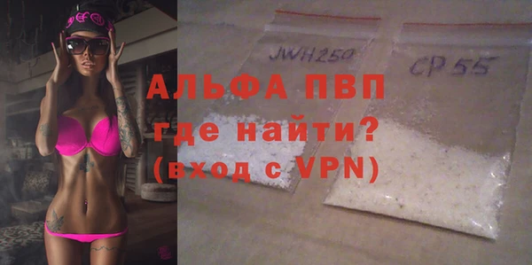 сатива Беломорск