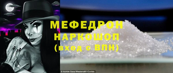 сатива Беломорск