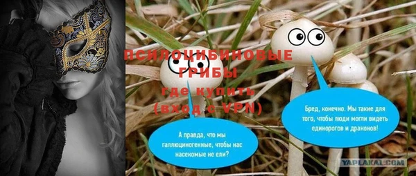 сатива Беломорск