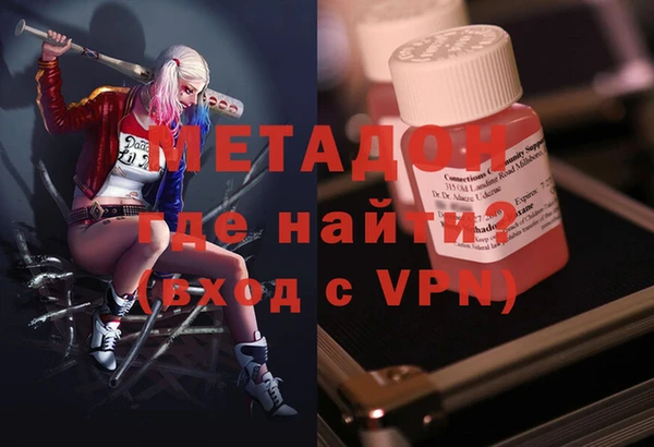 сатива Беломорск