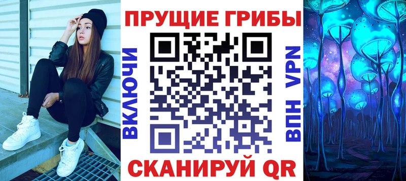 Псилоцибиновые грибы Psilocybe  Волосово 